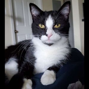 Meet your Posher, Alyssa